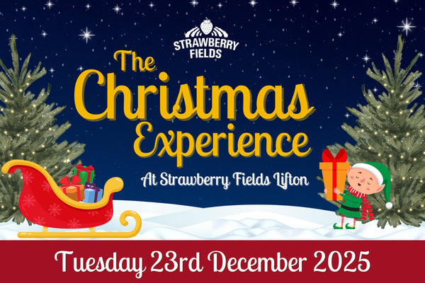 Christmas Experience - Tues 23rd Dec 2025