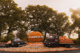 Pumpkin Fest CARERS TICKET 2026