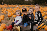 Pumpkin Fest CARERS TICKET 2026