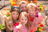 Tulip Fest 2026 - ANYTIME Ticket