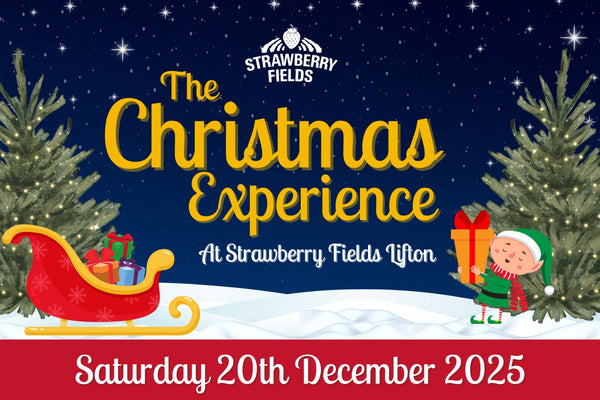 Christmas Experience - Sat 20th Dec 2025