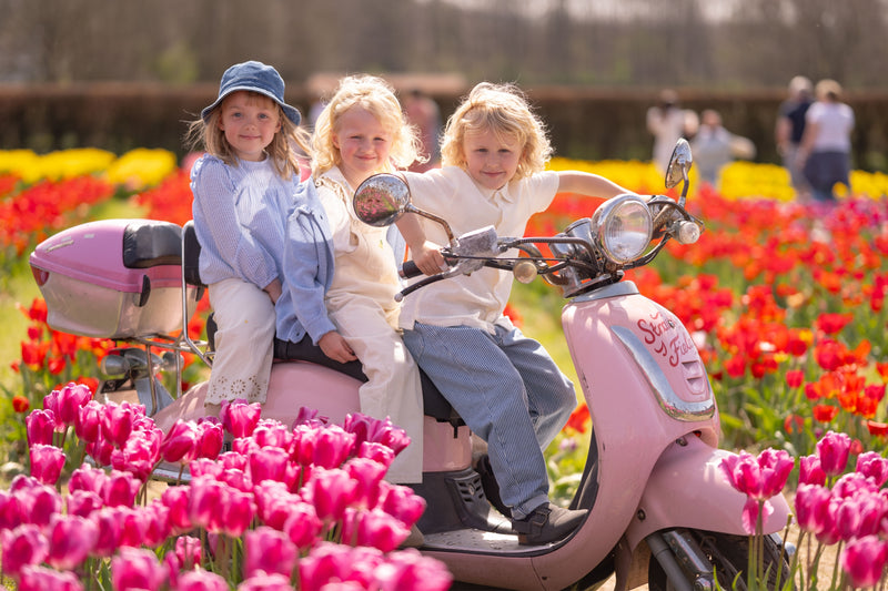 Tulip Fest 2026 - ANYTIME Ticket