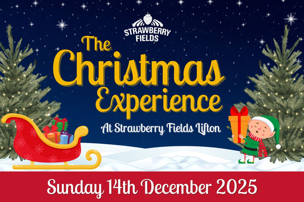 Christmas Experience - Sun 14th Dec 2025